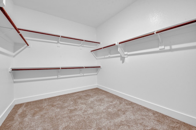 spacious closet with carpet flooring