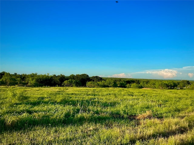 Listing photo 2 for TBD N Whitt Rd, Whitt TX 76490