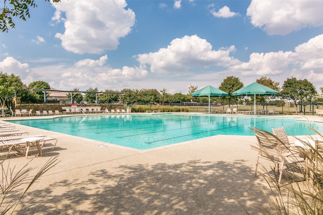 view of swimming pool with a patio