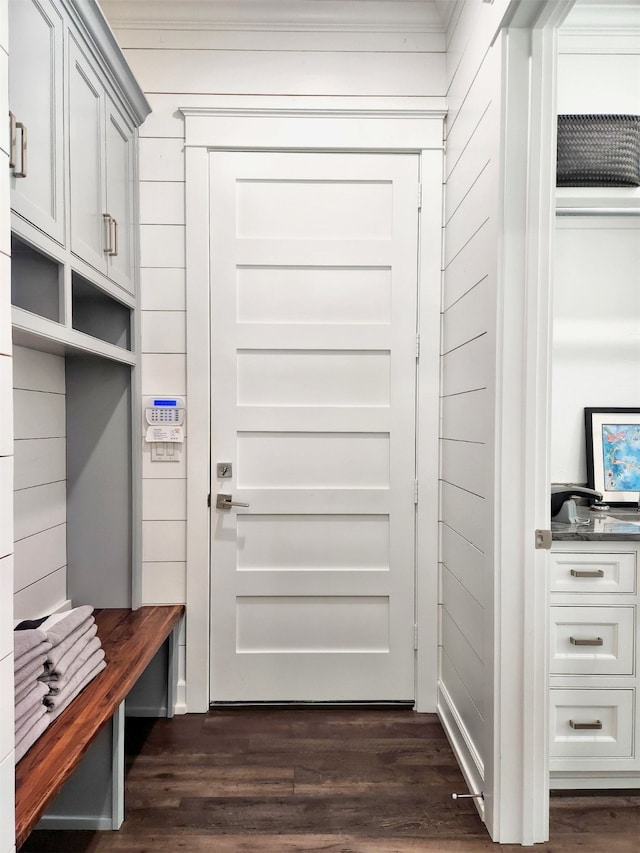 mudroom with dark hardwood / wood-style flooring