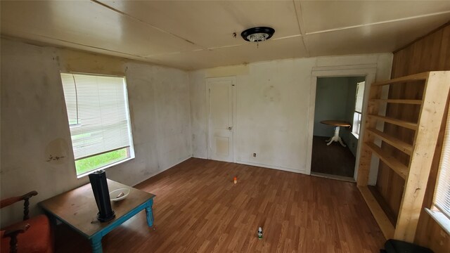 interior space featuring wood-type flooring