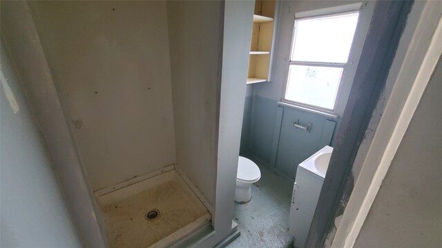 bathroom featuring a shower, vanity, and toilet