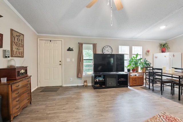 living room featuring hardwood / wood-style floors, ceiling fan, ornamental molding, and a textured ceiling