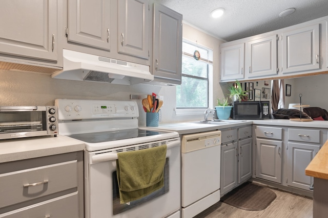 kitchen with light hardwood / wood-style floors, white appliances, gray cabinetry, and a textured ceiling