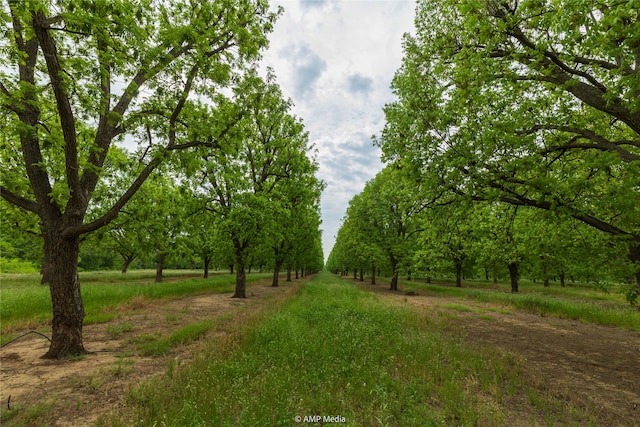 141 Pecan Bayou Ln, Brownwood TX, 76801 land for sale