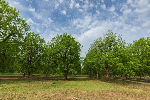 Listing photo 3 for 141 Pecan Bayou Ln, Brownwood TX 76801