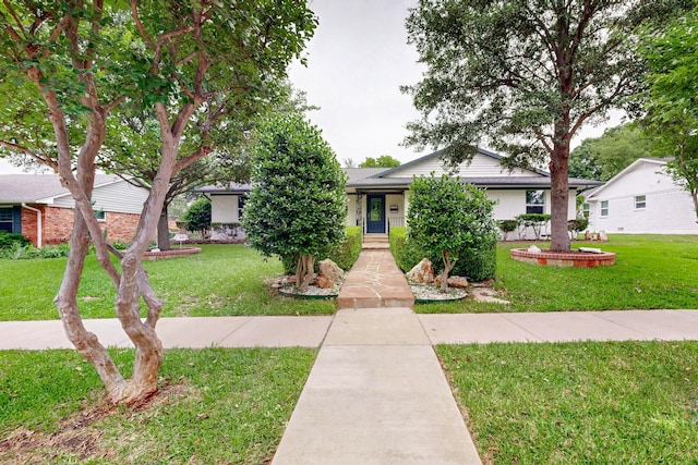 view of front of home featuring a front yard