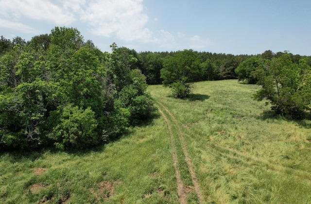 Listing photo 2 for TBD-C County Road 4653, Tenaha TX 75974