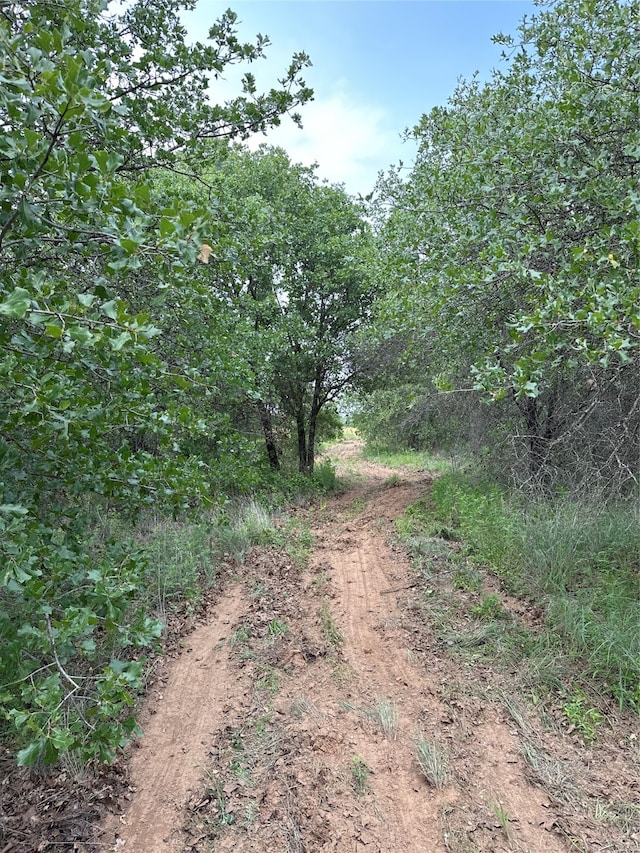 Listing photo 2 for 2250 County Road 217, Cisco TX 76437