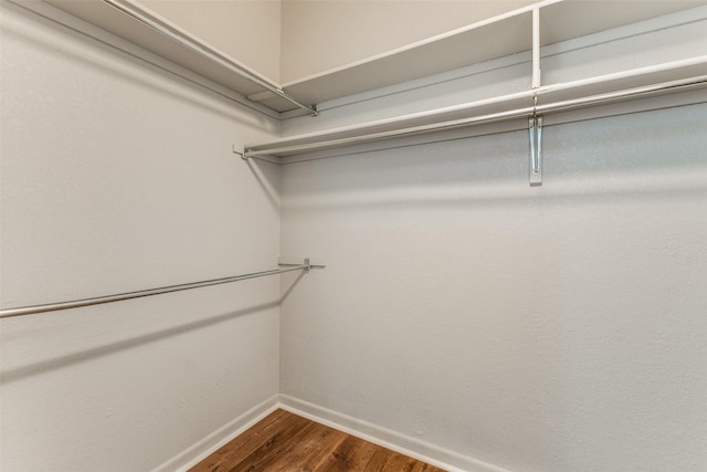 walk in closet with hardwood / wood-style flooring