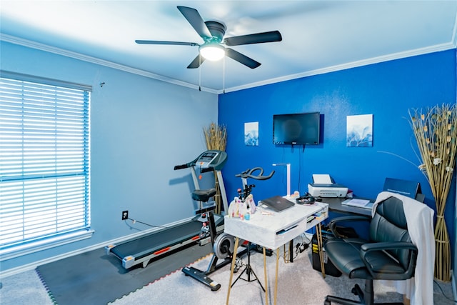 workout area with ceiling fan and ornamental molding