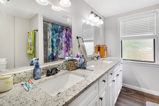 bathroom featuring toilet, hardwood / wood-style flooring, and double sink vanity