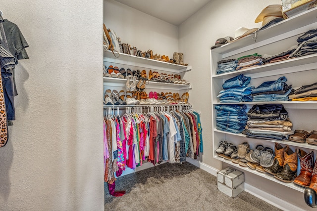 walk in closet with carpet