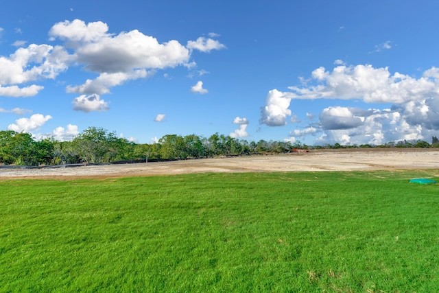 view of yard featuring a rural view