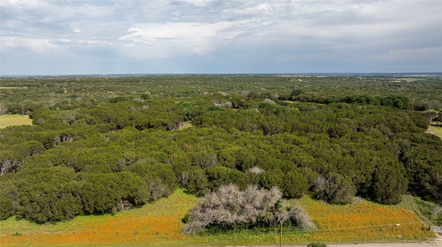 Listing photo 3 for TBD Cr 2009, Glen Rose TX 76043