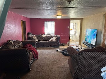 living room featuring carpet and a textured ceiling