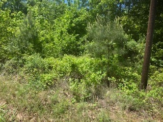 TBD Haynes Rd, Marshall TX, 75671 land for sale