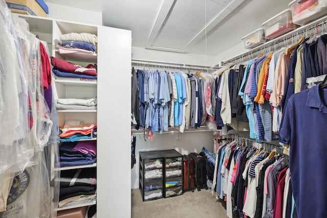 spacious closet with light carpet