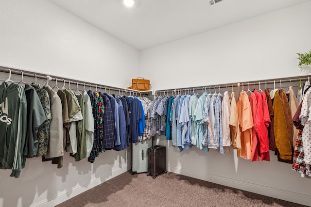 spacious closet featuring carpet