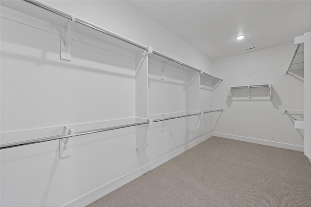 spacious closet featuring carpet