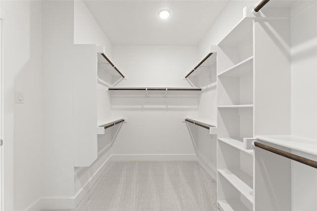 spacious closet with light carpet