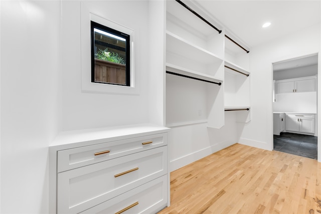 spacious closet featuring light hardwood / wood-style floors