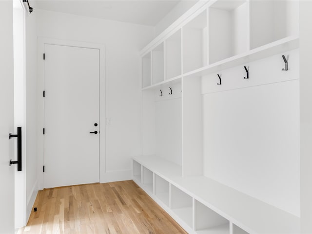 mudroom with wood-type flooring