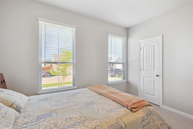 bedroom featuring multiple windows and carpet flooring