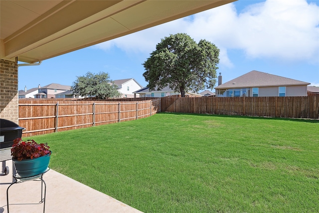 view of yard featuring a patio area