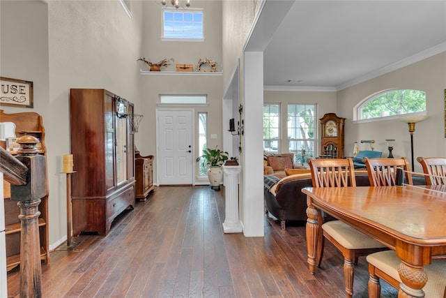 foyer with a high ceiling, ornamental molding, and dark hardwood / wood-style flooring