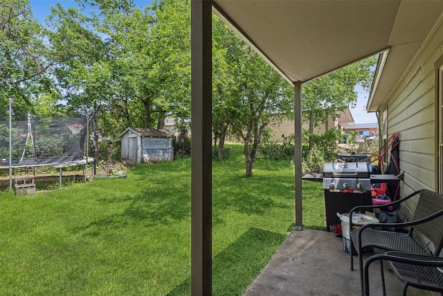 view of yard featuring a trampoline, a storage unit, and a patio area