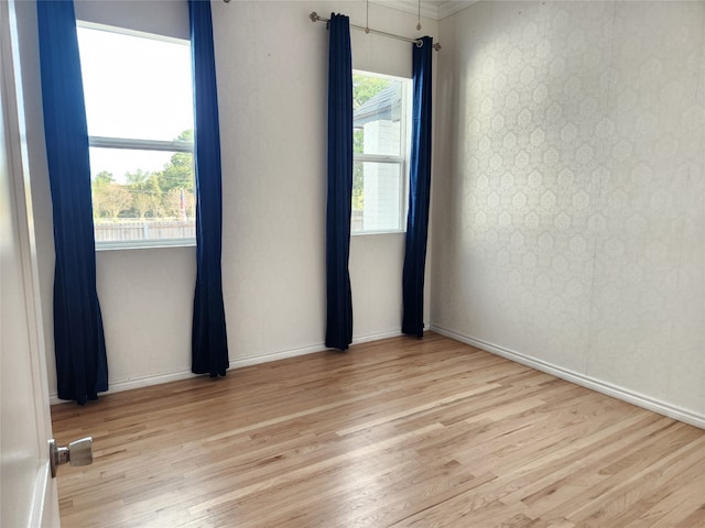 empty room featuring light hardwood / wood-style flooring