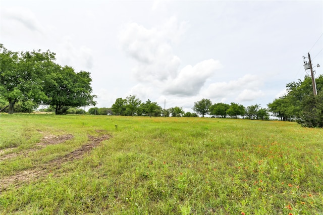 view of yard with a rural view