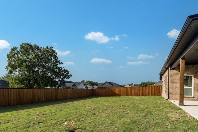 view of yard featuring a patio area