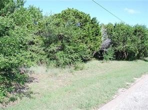 Listing photo 3 for 30086 Woodcrest Ct, Whitney TX 76692