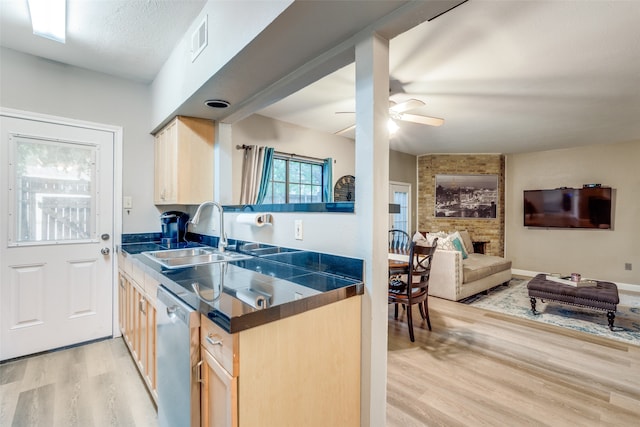 kitchen with light hardwood / wood-style floors, sink, ceiling fan, and stainless steel dishwasher