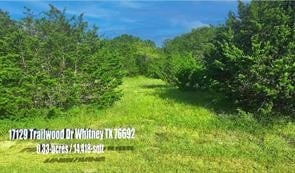 17129 Trailwood Dr, Whitney TX, 76692 land for sale