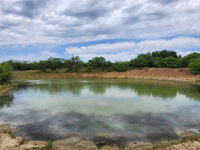 TBD County Road 125, Cisco TX, 76437 land for sale