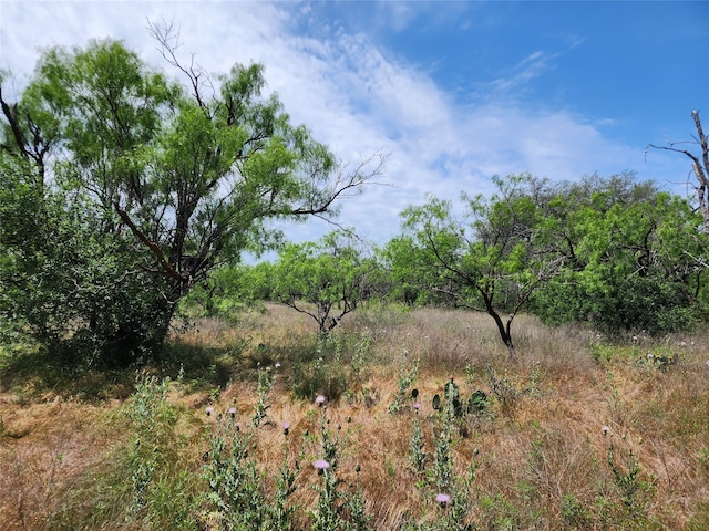 Listing photo 2 for TBD County Road 125, Cisco TX 76437