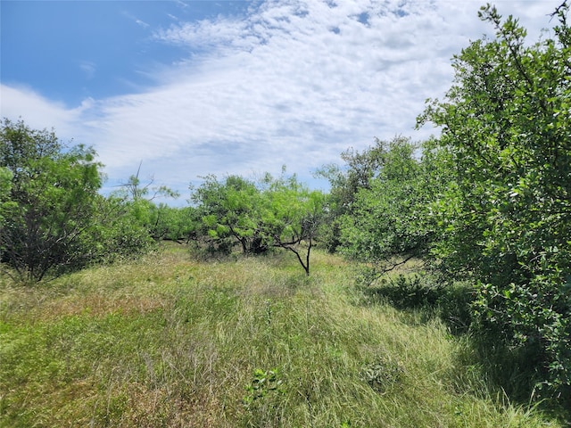 Listing photo 3 for TBD County Road 125, Cisco TX 76437