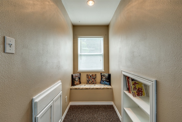 interior space with carpet