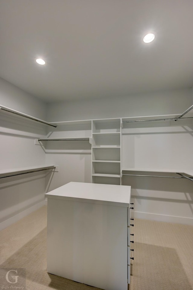 spacious closet with light colored carpet