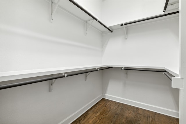 walk in closet featuring dark wood-type flooring