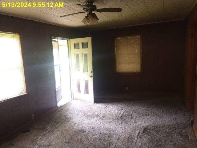 carpeted empty room featuring a wealth of natural light and ceiling fan