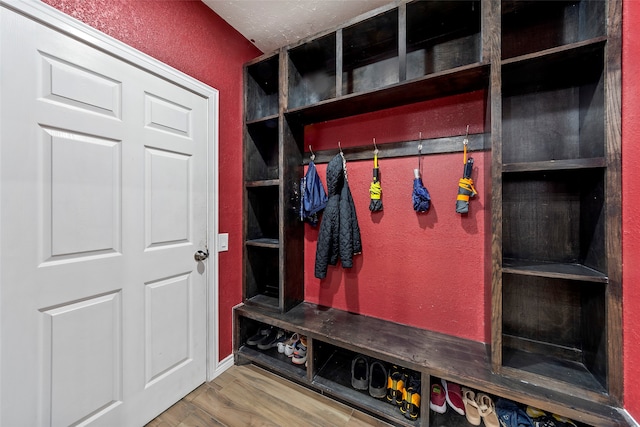 mudroom with wood-type flooring