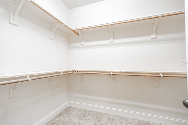 spacious closet featuring carpet flooring