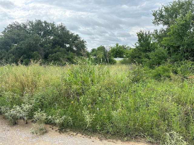 TBD Verde Dr, Brownwood TX, 76801 land for sale