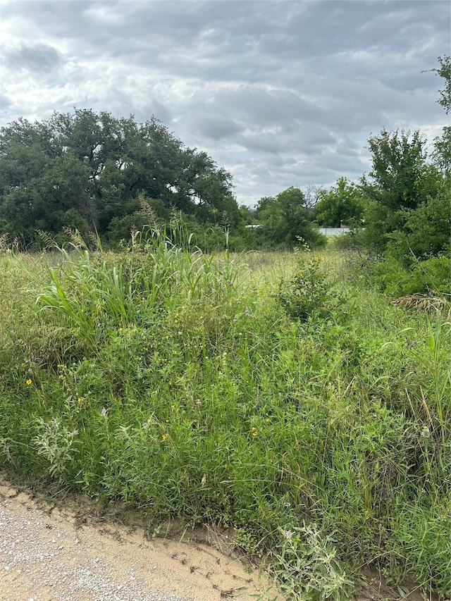 Listing photo 3 for TBD Verde Dr, Brownwood TX 76801