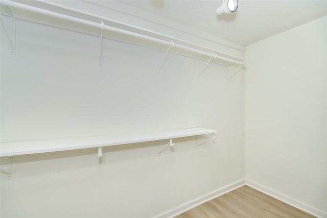 walk in closet featuring light wood-type flooring