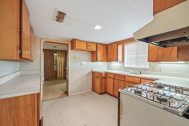 kitchen with fume extractor, sink, and stove